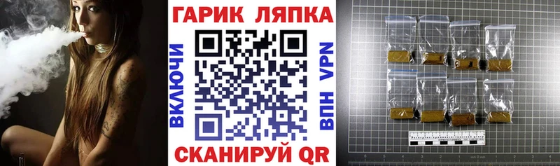 ГАШ VHQ  Краснозаводск 