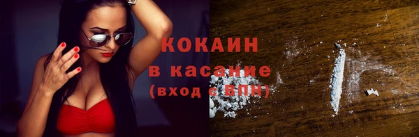 сатива Абинск