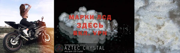 стафф Алзамай