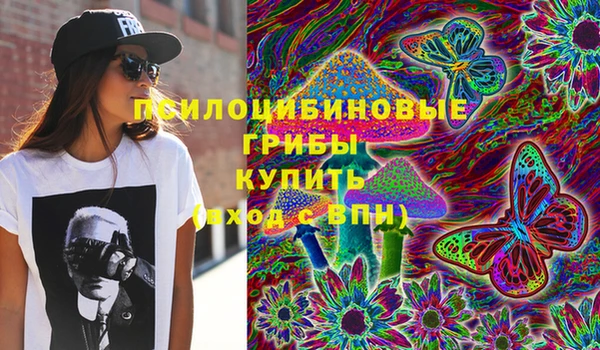 стафф Алзамай